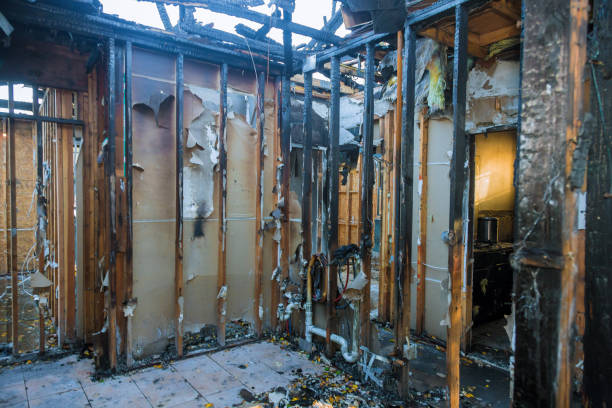 Professional Fire Damage Repair technician working in Homosassa, FL